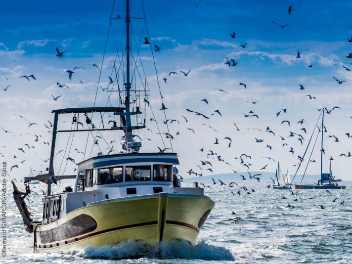 Fishing vessel ©Bernard GIRARDIN/Adobe Stock