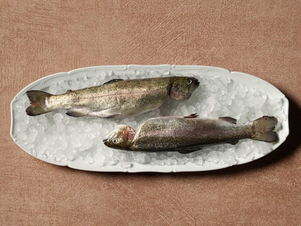 Rainbow-trout on a plate