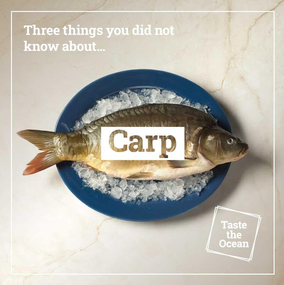 Three things you did not know about carp