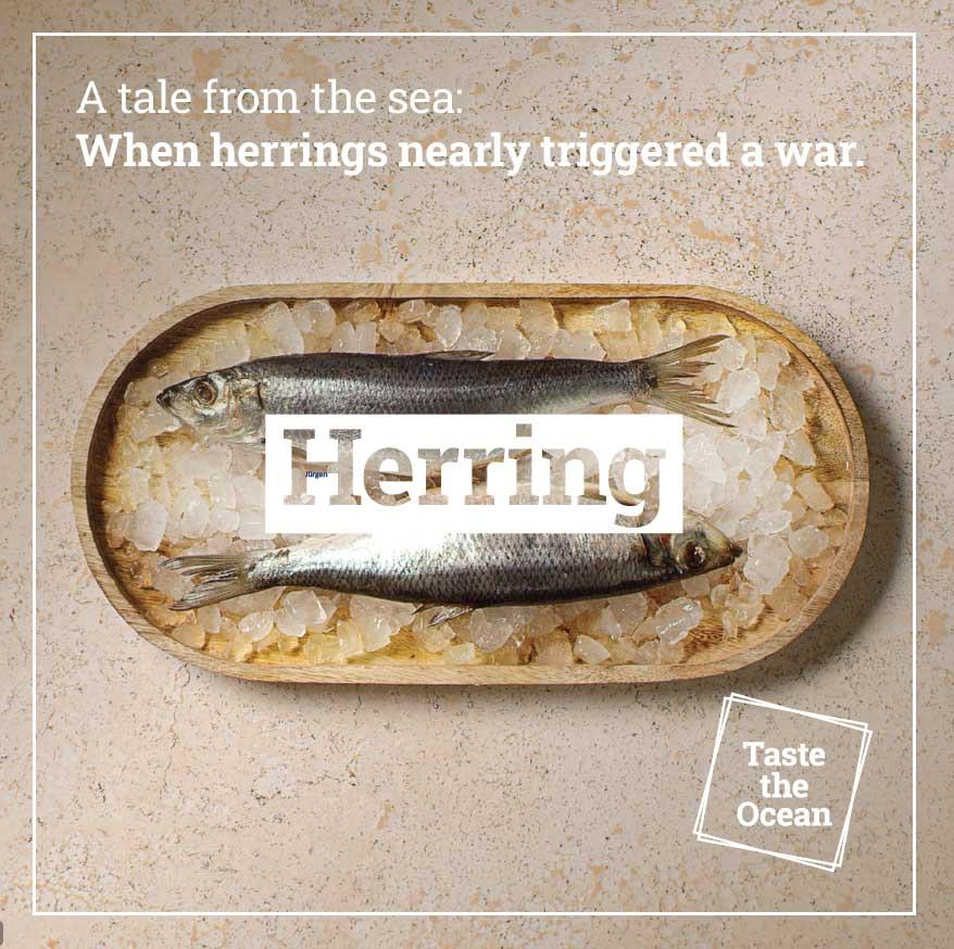 Three things you did not know about herring