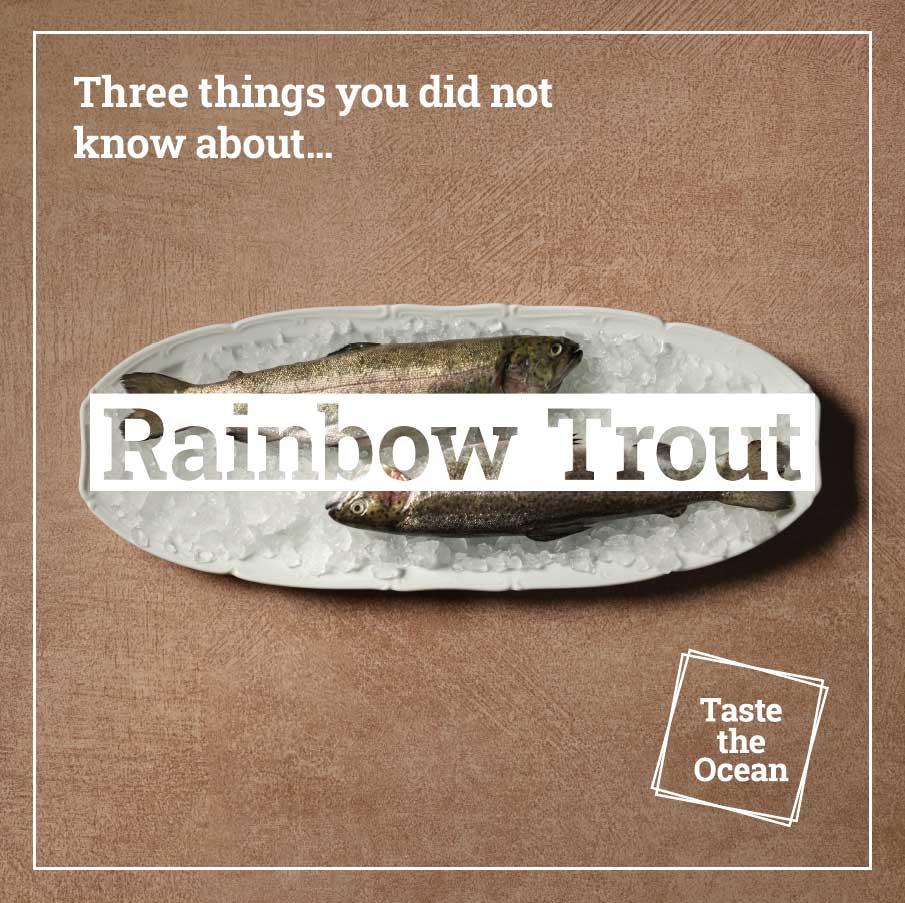 Three things you did not know about Rainbow Trout