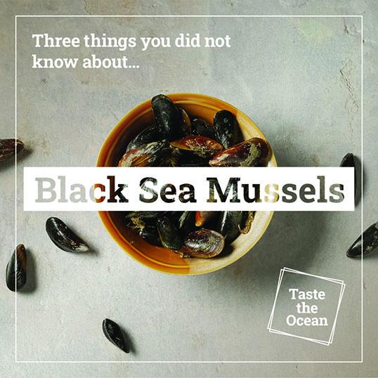 Black Sea mussels