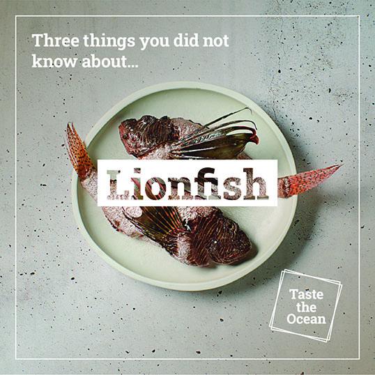 Three things you did not know about Lionfish