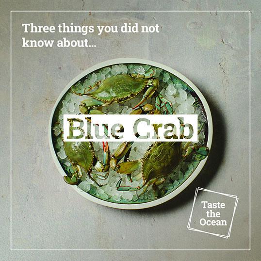 Three things you did not know about Blue crab